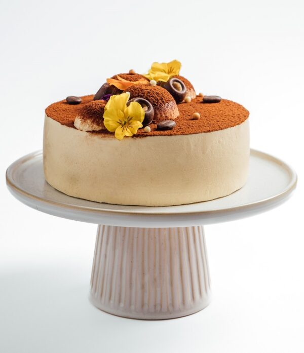 Tiramisu cake on a white background 300x300 resolution